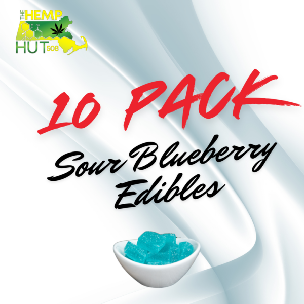 Sour Blueberry Gummies - 10 packs